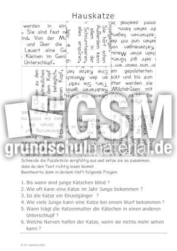Hauskatze.pdf